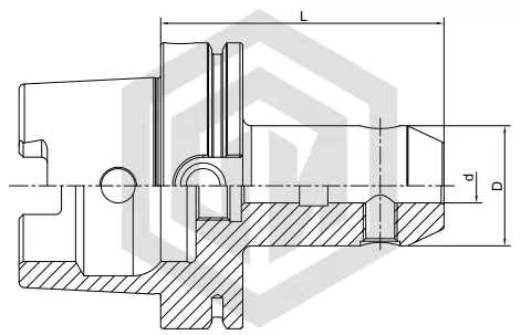 Патрон Weldon HSK100A-SLN20-100 STI