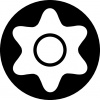 867/1 ZA SPAX® T-STAR plus® (TORX® с цапфой) бита, 1/4" C6.3, TX 25 x 25 мм