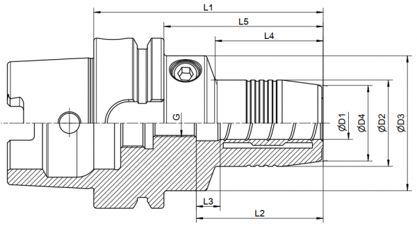 Патрон гидропластовый HSK100A-PHC20-105 STI